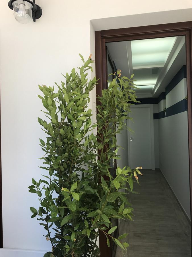 Elisir Suite Rooms By Marino Tourist San Vito Lo Capo Eksteriør billede